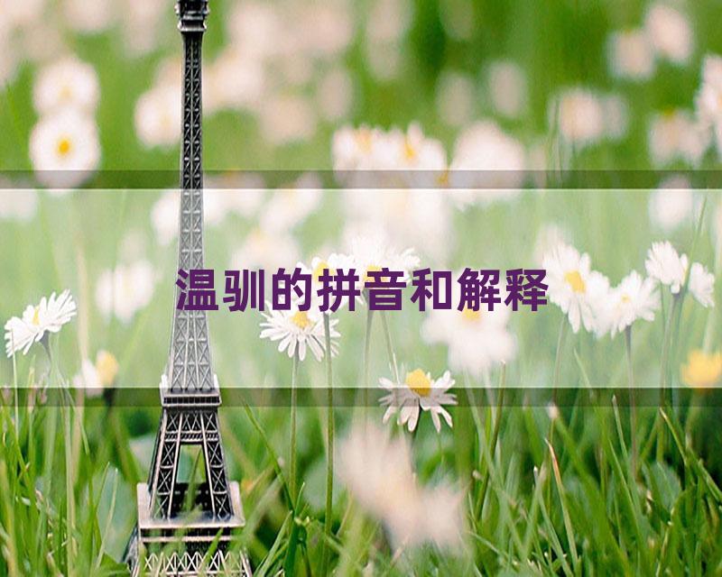温驯的拼音和解释