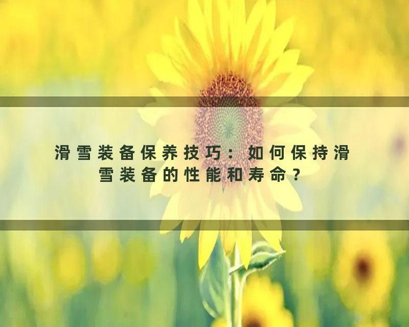 滑雪装备保养技巧：如何保持滑雪装备的性能和寿命？