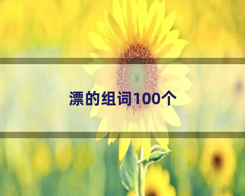 漂的组词100个