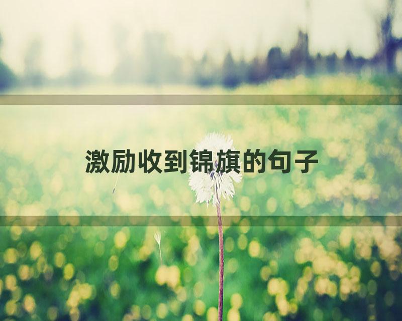 激励收到锦旗的句子