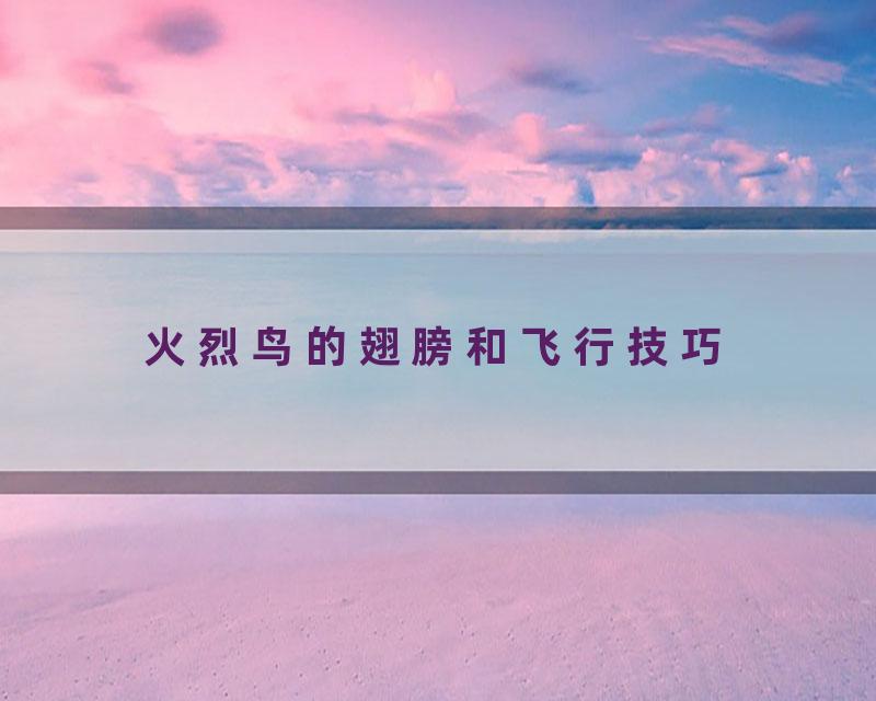 火烈鸟的翅膀和飞行技巧