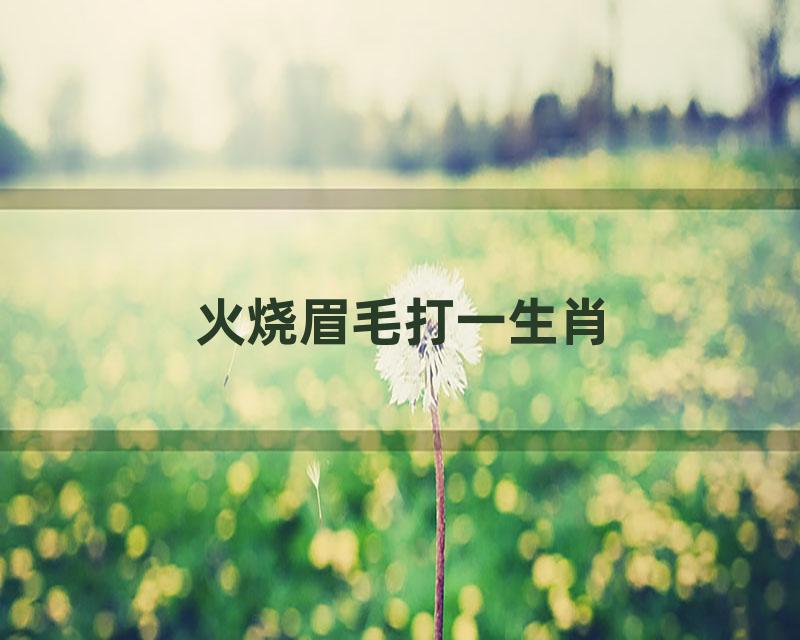 火烧眉毛打一生肖