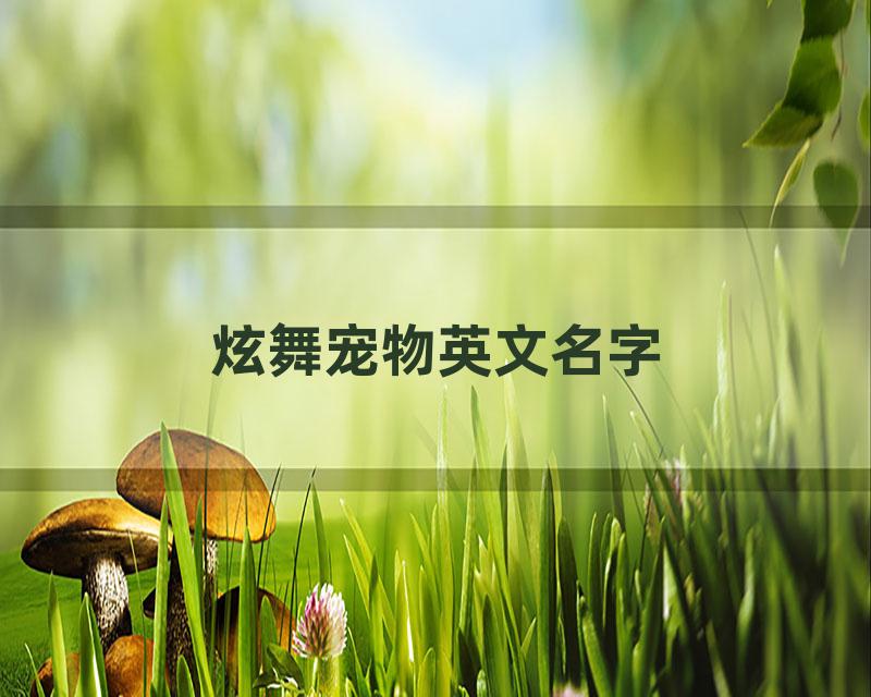 炫舞宠物英文名字