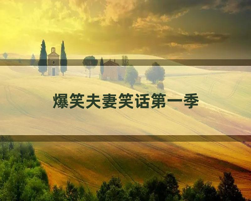 爆笑夫妻笑话第一季