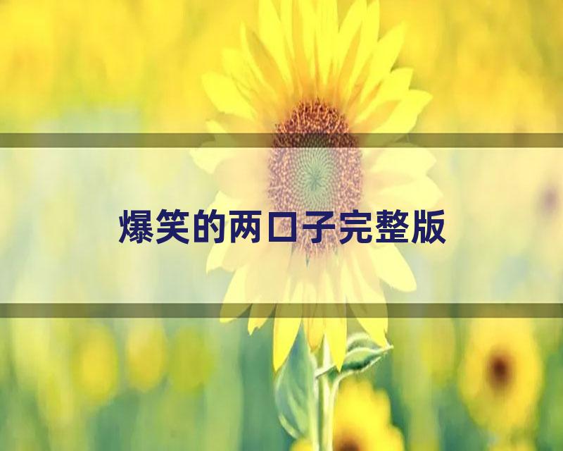 爆笑的两口子完整版