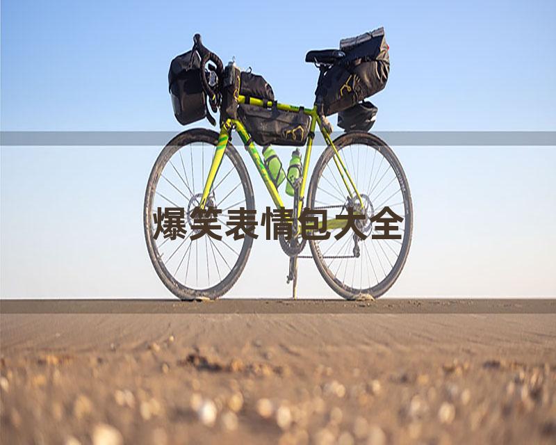 爆笑表情包大全