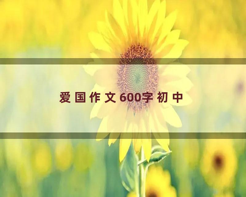 爱国作文600字初中