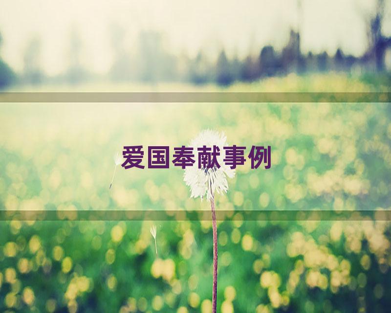 爱国奉献事例