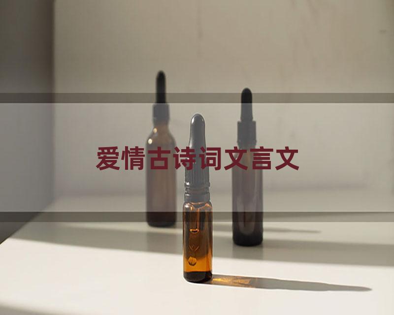 爱情古诗词文言文