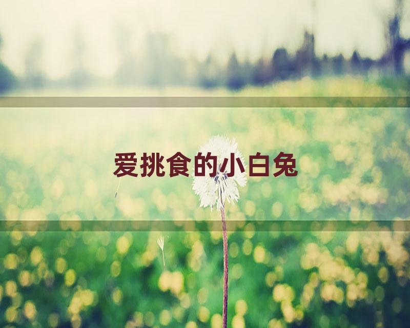 爱挑食的小白兔