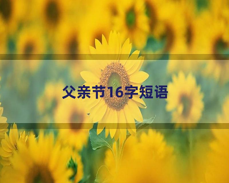 父亲节16字短语