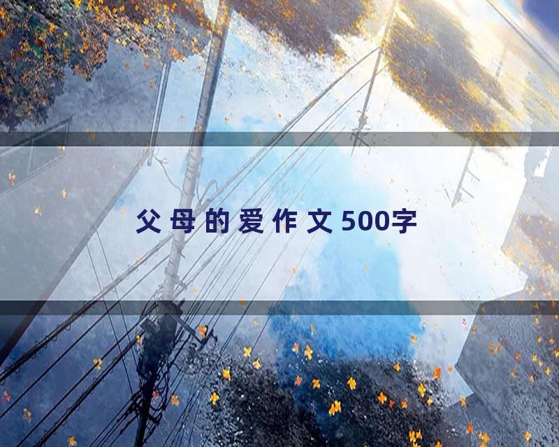 父母的爱作文500字