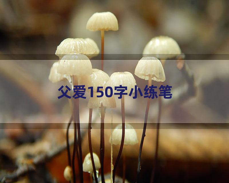 父爱150字小练笔