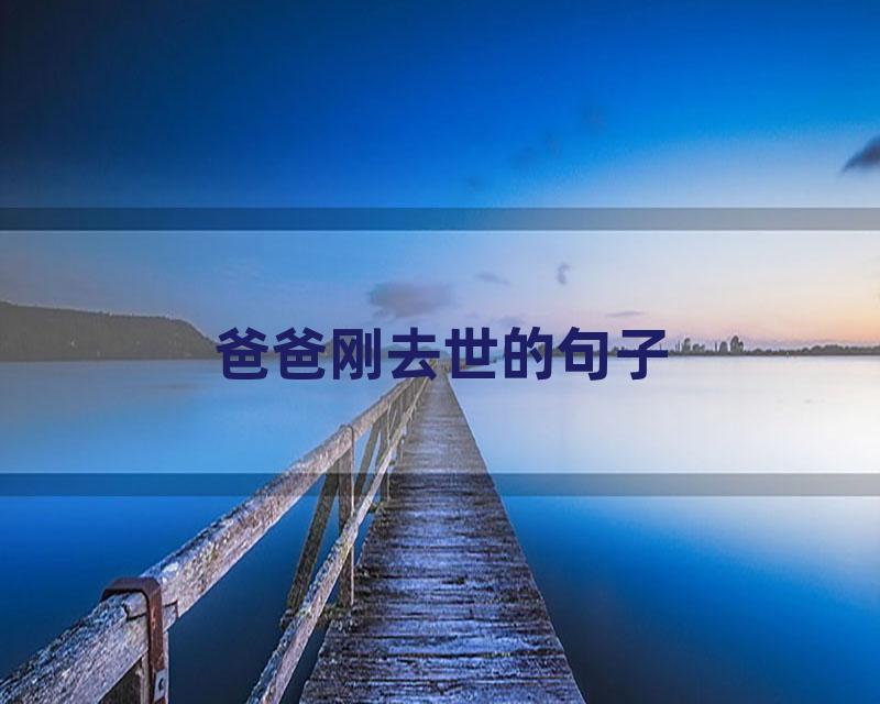 爸爸刚去世的句子