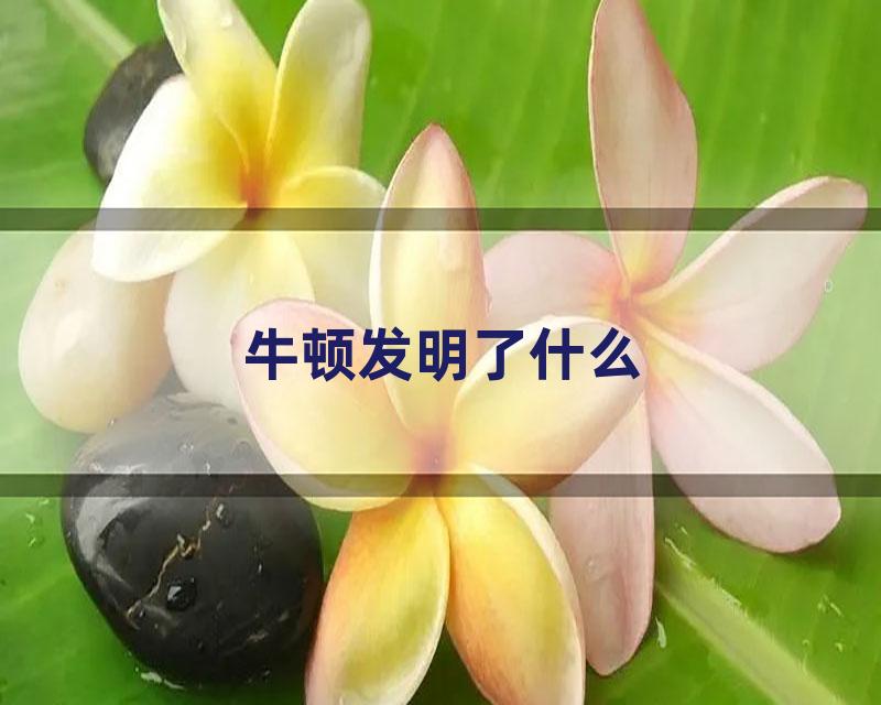 牛顿发明了什么