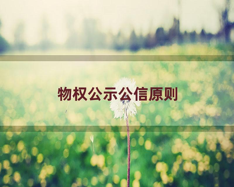 物权公示公信原则