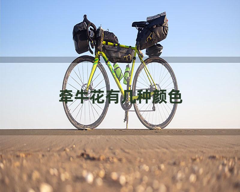 牵牛花有几种颜色