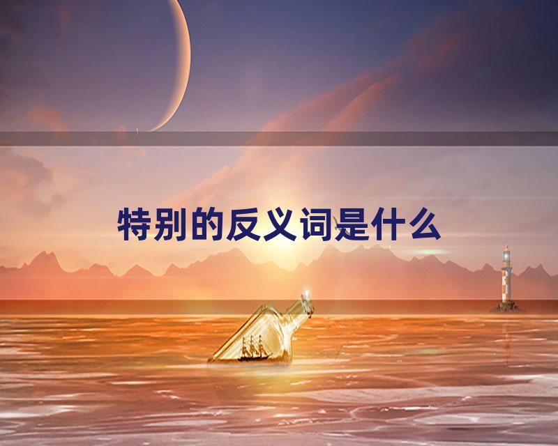 特别的反义词是什么