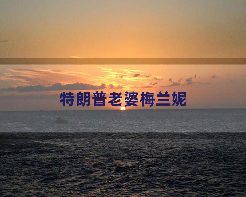 特朗普老婆梅兰妮