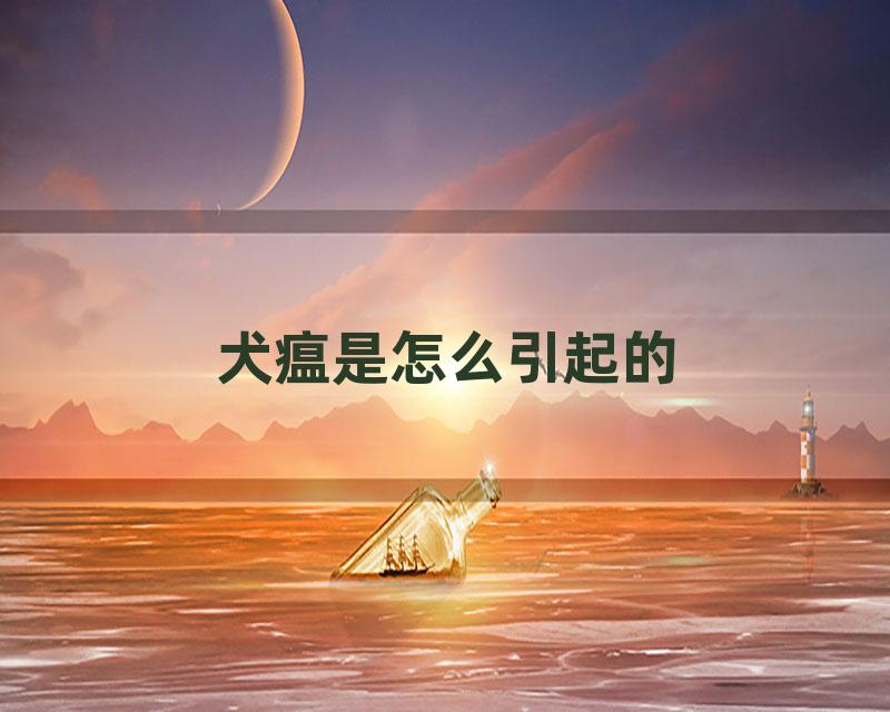 犬瘟是怎么引起的