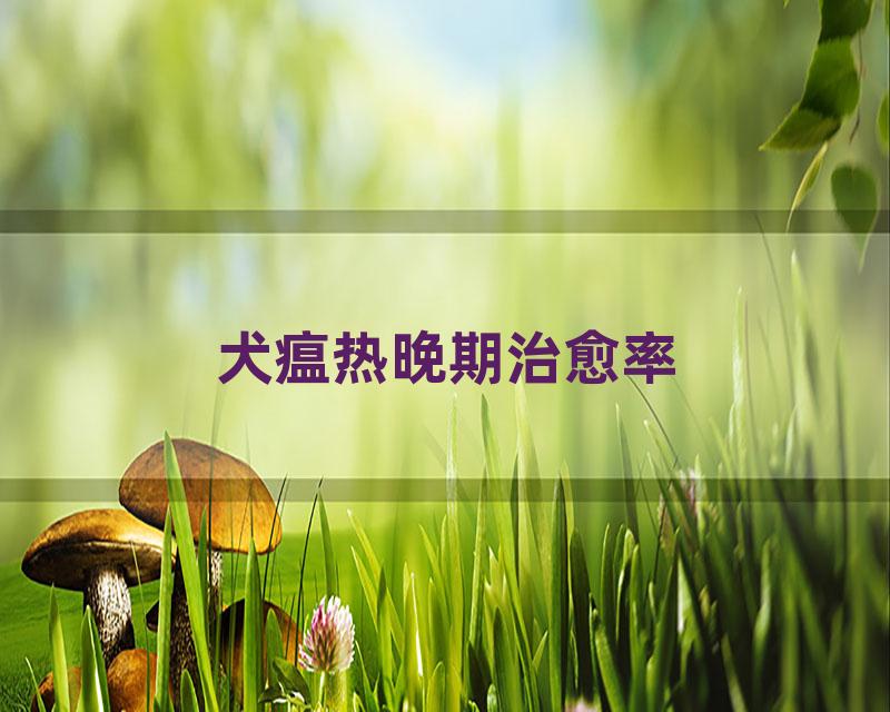 犬瘟热晚期治愈率