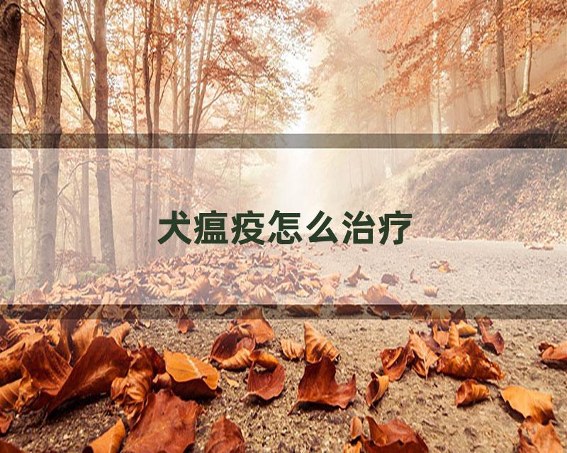 犬瘟疫怎么治疗