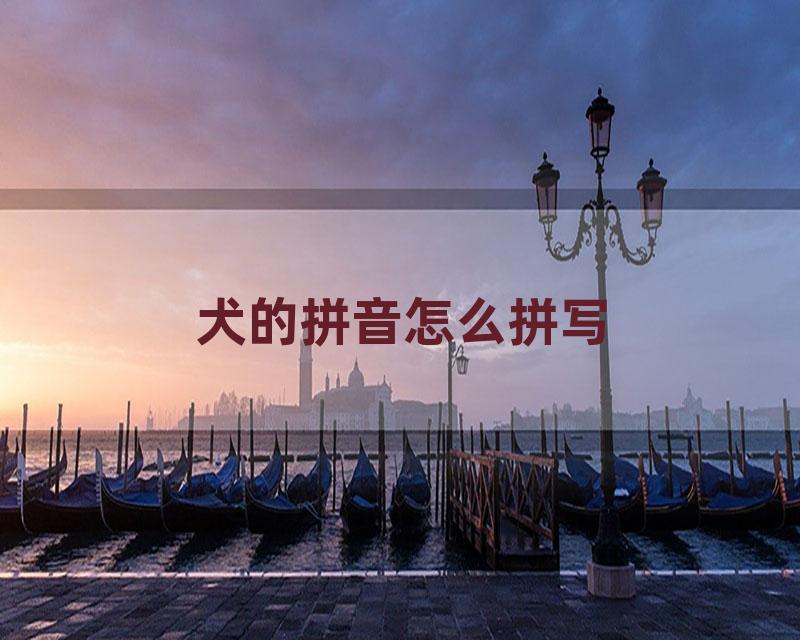 犬的拼音怎么拼写