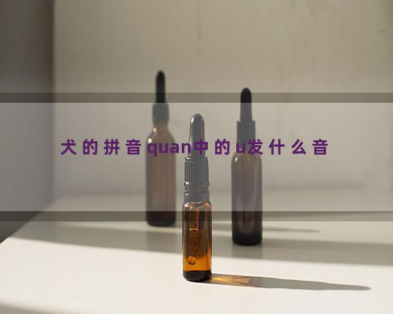 犬的拼音quan中的u发什么音