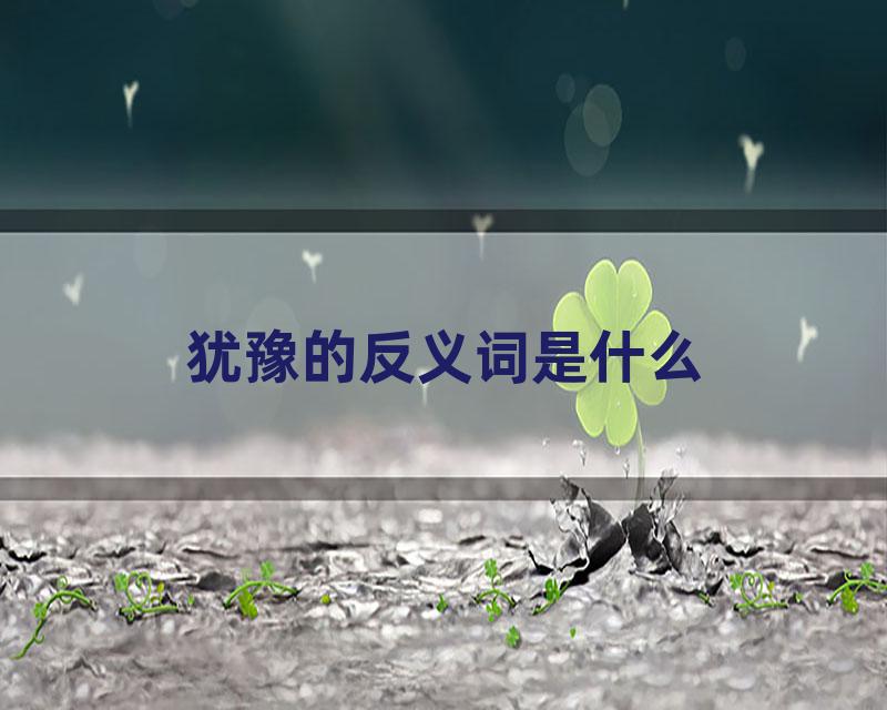 犹豫的反义词是什么