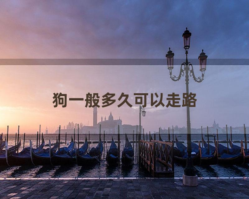 狗一般多久可以走路