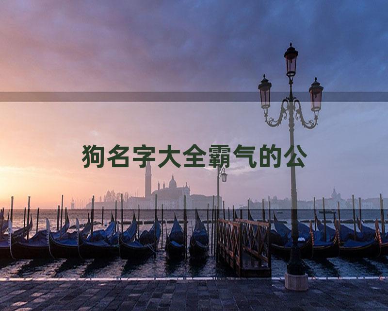 狗名字大全霸气的公