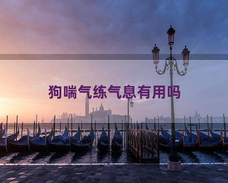 狗喘气练气息有用吗
