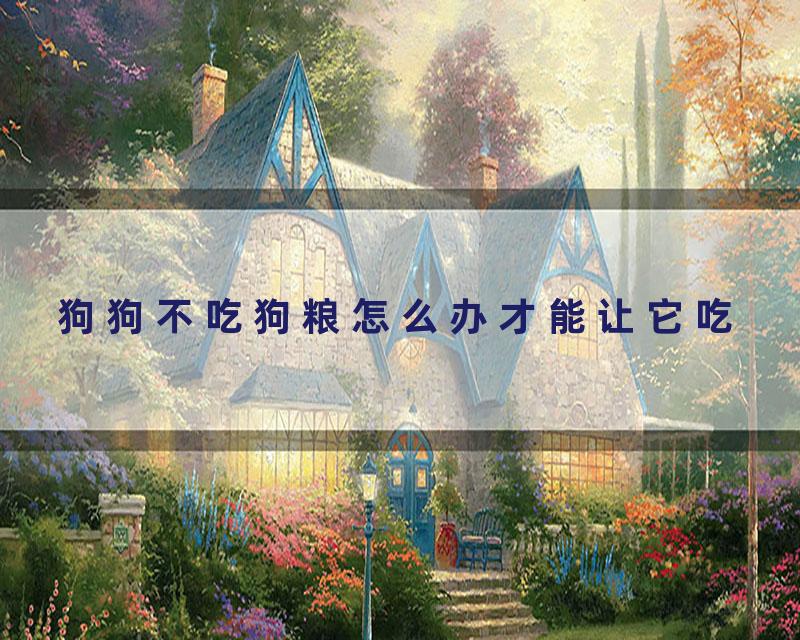 狗狗不吃狗粮怎么办才能让它吃