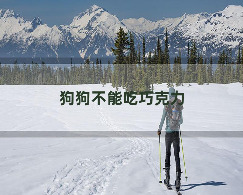 狗狗不能吃巧克力