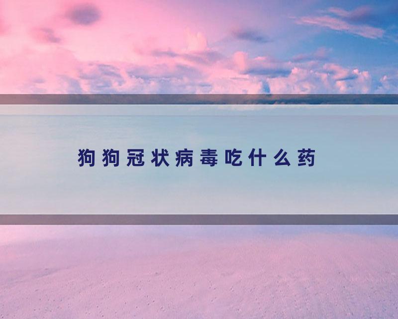 狗狗冠状病毒吃什么药