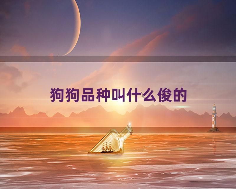 狗狗品种叫什么俊的