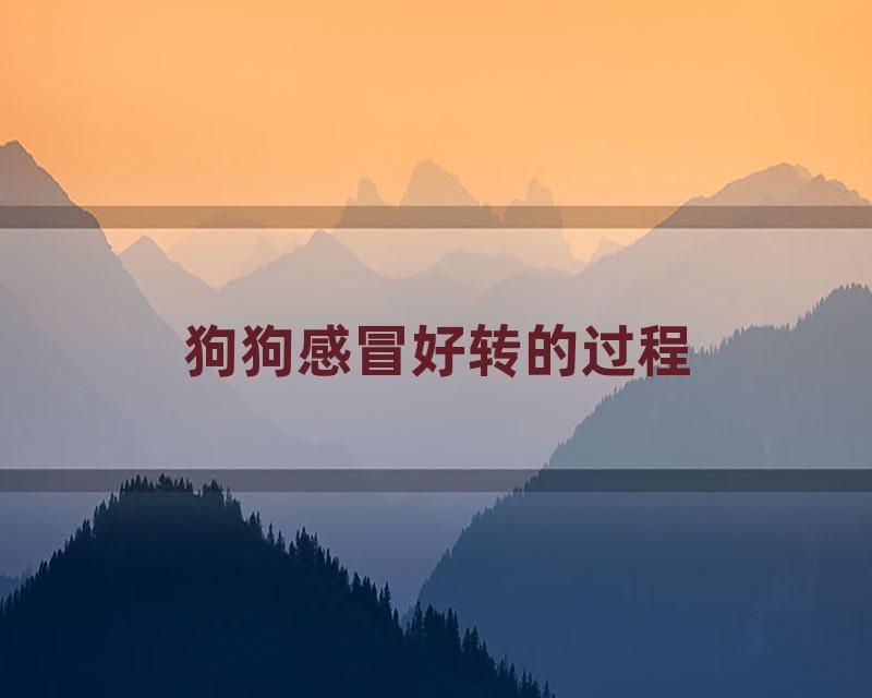 狗狗感冒好转的过程