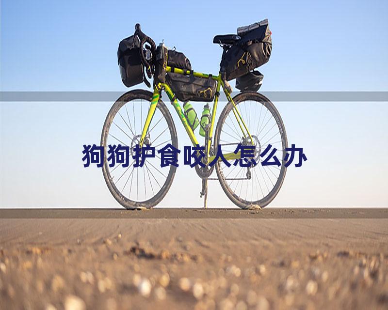 狗狗护食咬人怎么办