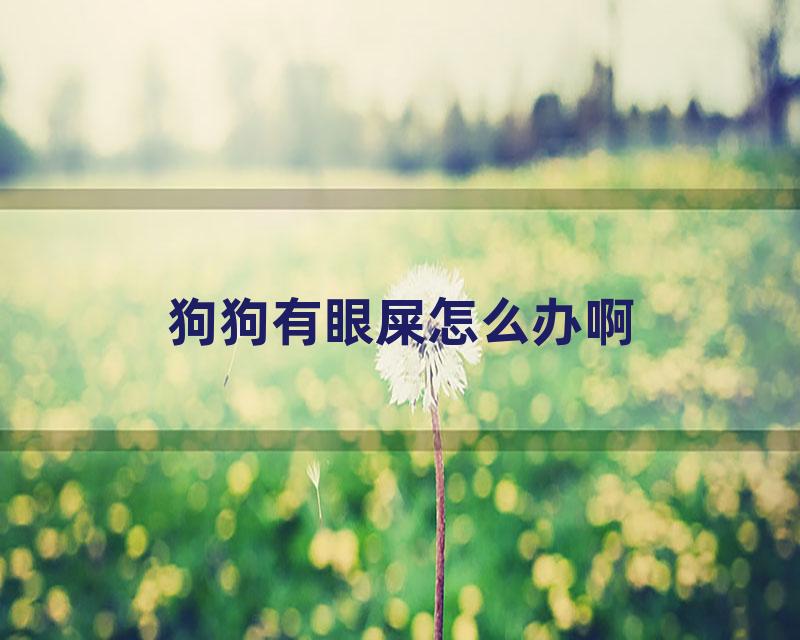 狗狗有眼屎怎么办啊