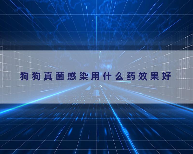 狗狗真菌感染用什么药效果好