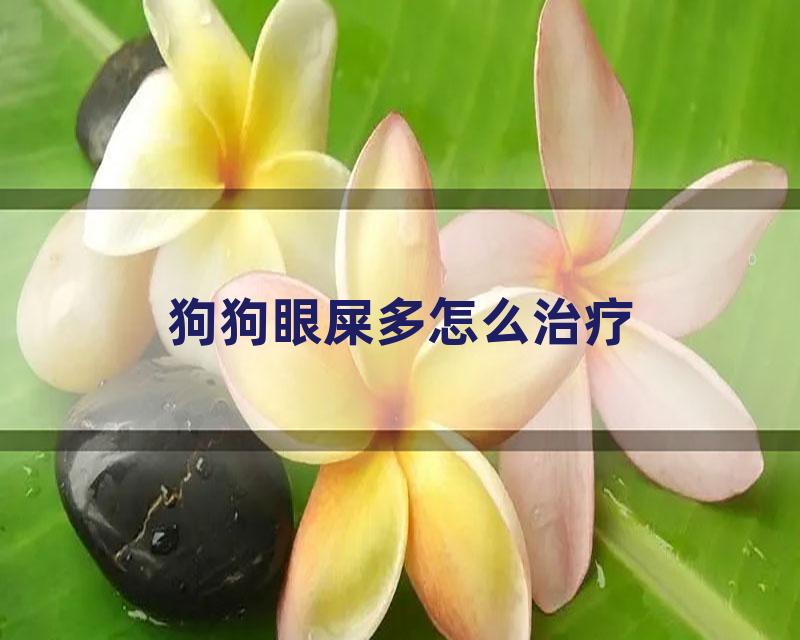 狗狗眼屎多怎么治疗