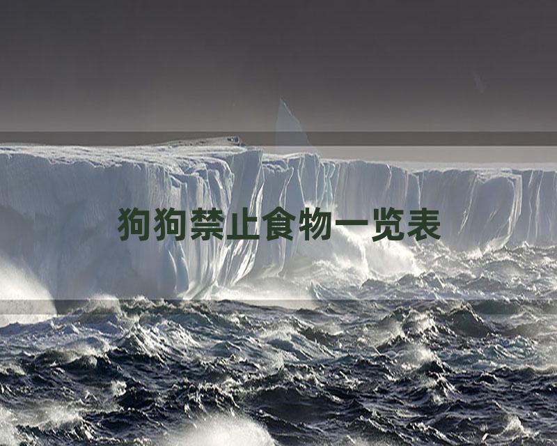 狗狗禁止食物一览表