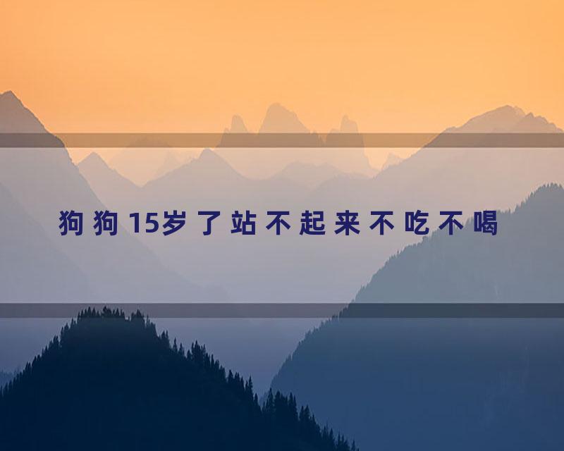 狗狗15岁了站不起来不吃不喝