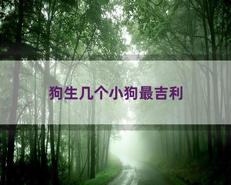 狗生几个小狗最吉利