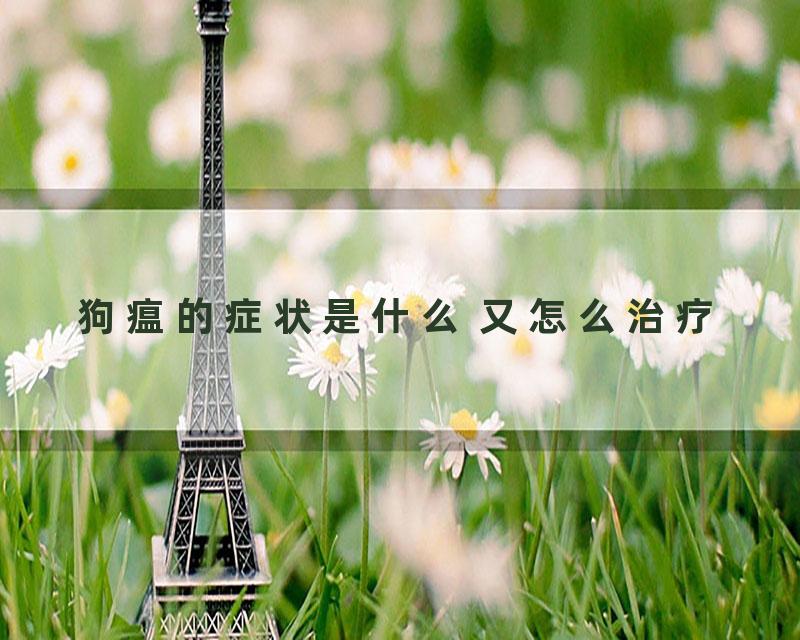 狗瘟的症状是什么 又怎么治疗