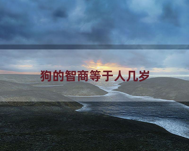 狗的智商等于人几岁