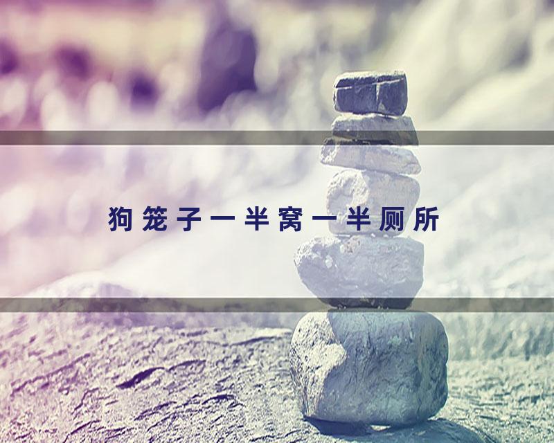 狗笼子一半窝一半厕所