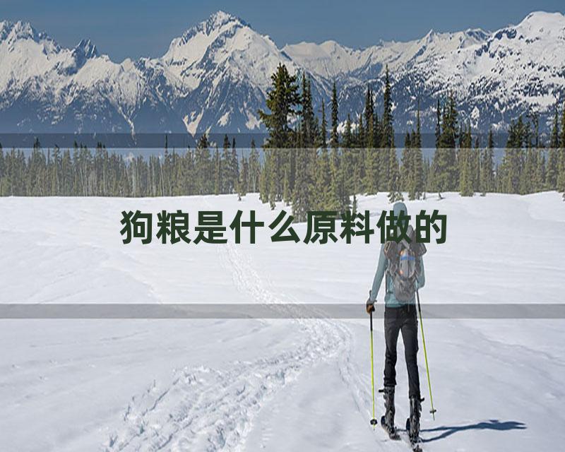 狗粮是什么原料做的