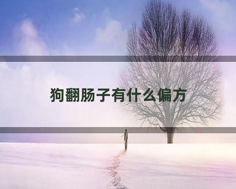 狗翻肠子有什么偏方