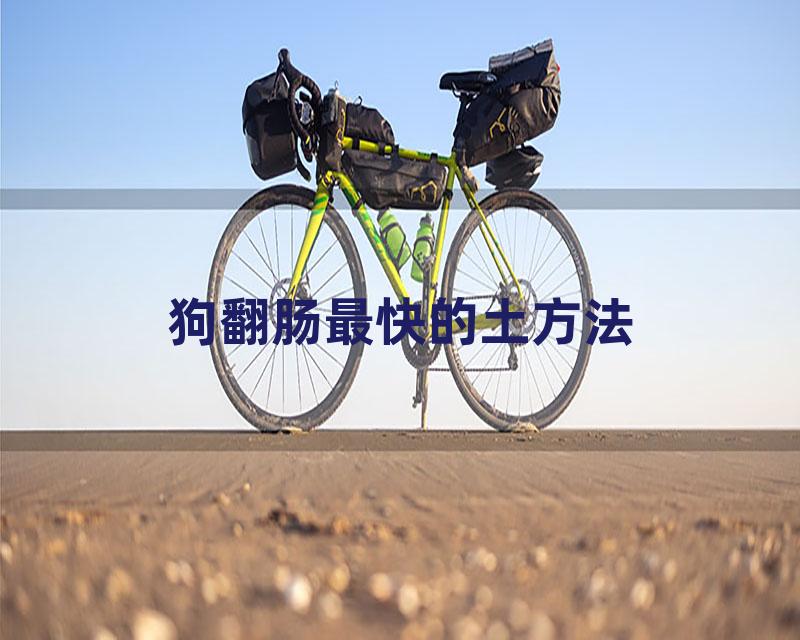 狗翻肠最快的土方法